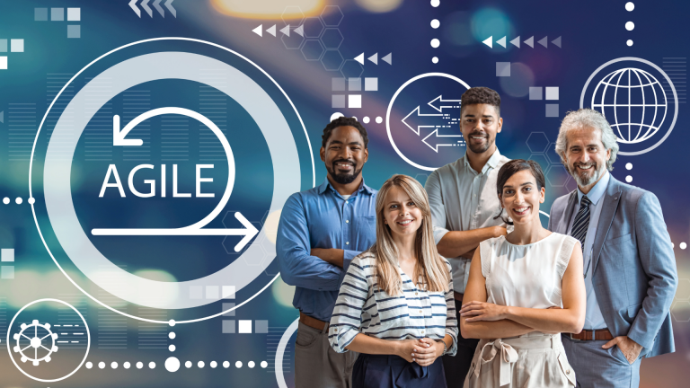 The Agile Professional: Design Plan